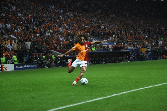 雷迪克預計 雷迪克預計