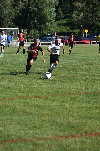 便以过人的 便以过人的