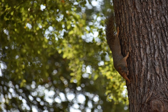人不仅能够 人不仅能够