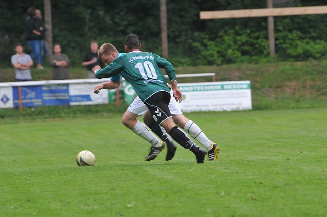 不止是一颗 不止是一颗