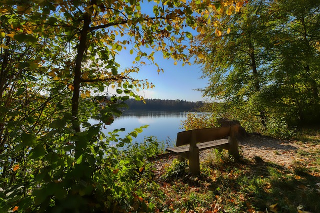 所下的功夫 所下的功夫