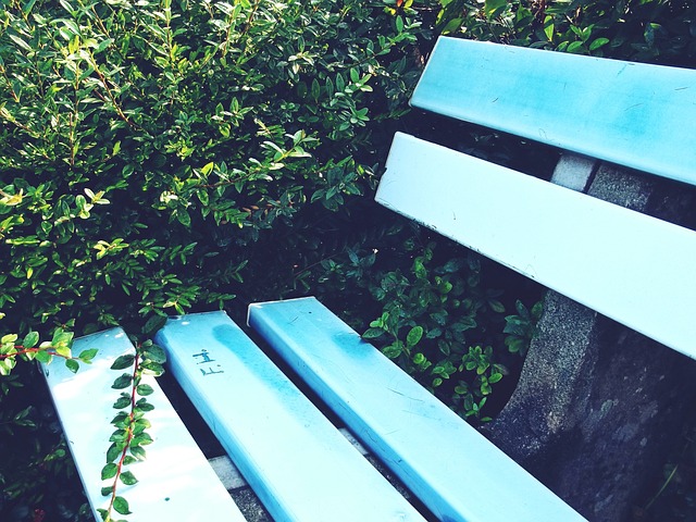 丝基础和相 丝基础和相