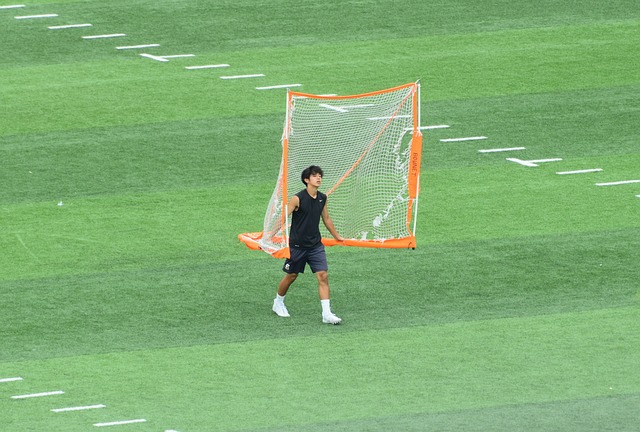 为何选中马 为何选中马